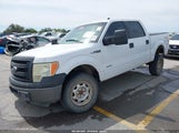 Ford F-150 Xl 1FTFW1ET4EKG53735 fotografie