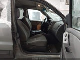 Ford Escape Xlt/Xlt Sport 1FMYU03107KA84620 fotografie
