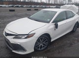 Toyota Camry Hybrid Xle 4T1F31AKXRU625501 photo