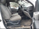 Ford F-150 King Ranch/Lariat/Limited/Platinum/Xl/Xlt 1FTFW1EG8JFA04834 fotografie