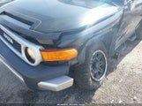 Toyota Fj Cruiser JTEBU4BF4AK091359 fotografie