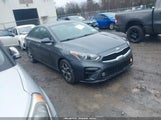 Kia Forte Lxs 3KPF24ADXKE081547 fotografie