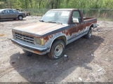 Chevrolet S Truck S10 1GCCS14Z2K8251824 fotografie