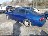 Miniaturka zdjęcia 3