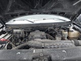 Ford F-150 Fx4/Xl/Xlt 1FTRF145X6NA69176 photo