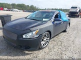 Nissan Maxima 3.5 S 1N4AA51E79C827617 снимка