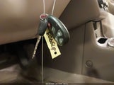 Miniaturka zdjęcia 11