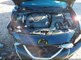 Miniaturka zdjęcia 10