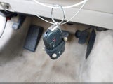 Miniaturka zdjęcia 11