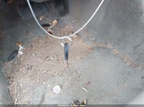 Ford Crown Victoria Lx 2FAFP74W03X214852 снимка