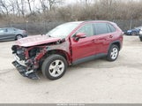 Toyota Rav4 Xle JTMP1RFV0LJ035025 снимка