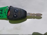 Miniaturka zdjęcia 11