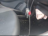 Miniaturka zdjęcia 11