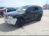 Ford Escape Xlt 1FMCU9DG7BKB71019 photo