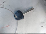 Miniaturka zdjęcia 11