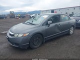 Honda Civic Lx 19XFA1F58BE033256 снимка