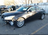 Miniaturka zdjęcia 2