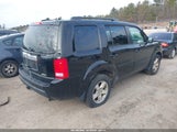 Honda Pilot Ex-L 5FNYF4H5XBB096152 fotografie