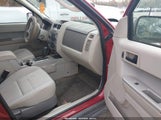 Ford Escape Xlt 1FMCU9DG0CKA40984 fotografie