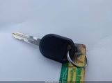Miniaturka zdjęcia 11