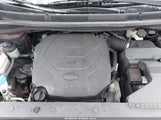 Miniaturka zdjęcia 10