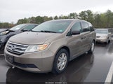 Honda Odyssey Lx 5FNRL5H22CB091859 снимка