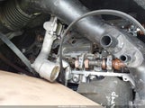 Ford Mustang Ecoboost 1FA6P8TH3F5411920 снимка