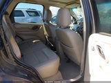 Ford Escape Xlt/Xlt Sport 1FMYU93116KA12568 fotografie