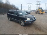 Hyundai Santa Fe Gls/Limited KM8SC73E56U064211 photo