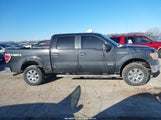 Ford F-150 Fx4/King Ranch/Lariat/Platinum/Xlt 1FTFW1ET4BFB31157 снимка