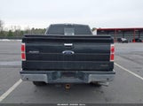 Ford F-150 Fx4/King Ranch/Lariat/Platinum/Xl/Xlt 1FTFW1EF9DFD60981 fotografie