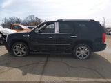 Cadillac Escalade Premium 1GYS4CEF6BR155589 снимка