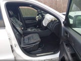 Miniaturka zdjęcia 5