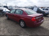 Chevrolet Malibu Ls 1G1ZT528X4F241851 photo
