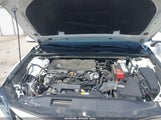 Toyota Camry Le 4T1C11AK2MU514121 fotografie