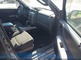 Ford Escape Xlt 1FMCU0DG0BKC10562 fotografie