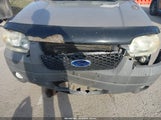 Ford Escape Xlt/Xlt Sport 1FMYU031X7KB25481 photo