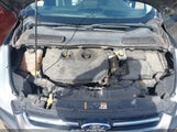 Miniaturka zdjęcia 10