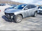Hyundai Tucson Sel KM8JBCDEXRU318697 снимка