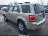 Ford Escape Xlt 1FMCU9D79AKD48183 fotografie