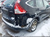 Miniaturka zdjęcia 6