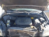 Miniaturka zdjęcia 10