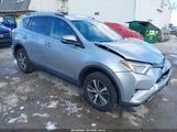 Toyota Rav4 Xle 2T3RFREV7GW447252 снимка