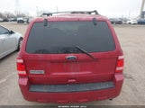 Ford Escape Xlt 1FMCU0D78BKA67294 fotografie