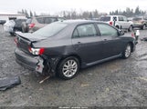 Toyota Corolla S 1NXBU4EE6AZ237476 снимка