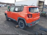 Jeep Renegade Trailhawk ZACCJBCT7GPD66151 fotografie