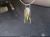 Miniaturka zdjęcia 11
