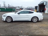 Ford Mustang Ecoboost 1FA6P8TH7F5373348 снимка