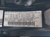 Miniaturka zdjęcia 9