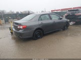 Toyota Corolla Le 2T1BU4EE6DC093272 fotografie
